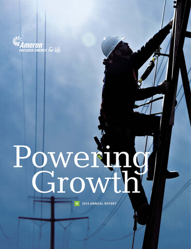 Thumbnail Ameren
 Annual Report 2014