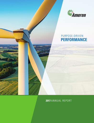 Thumbnail Ameren
 Annual Report 2017