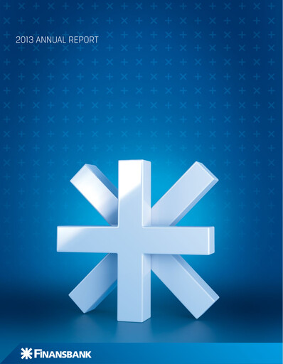 Thumbnail QNB Finansbank Annual Report 2013