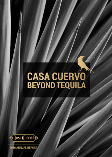 Miniature Becle Rapport annuel 2016