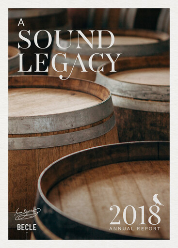 Miniature Becle Rapport annuel 2018