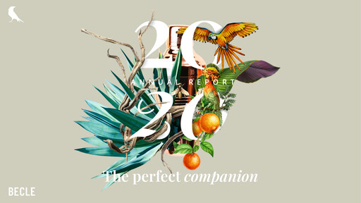 Miniature Becle Rapport annuel 2020