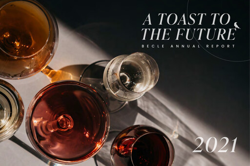 Miniature Becle Rapport annuel 2021
