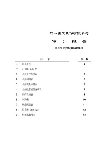 Thumbnail Sany Heavy Industry Financial Statement 2013