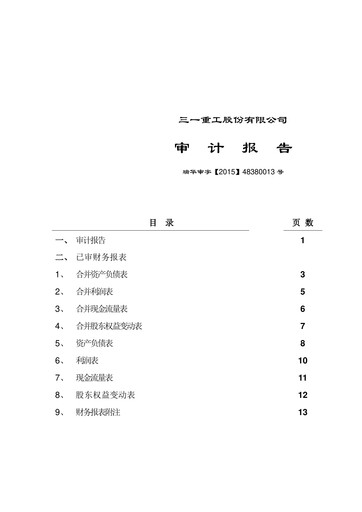 Thumbnail Sany Heavy Industry Financial Statement 2014