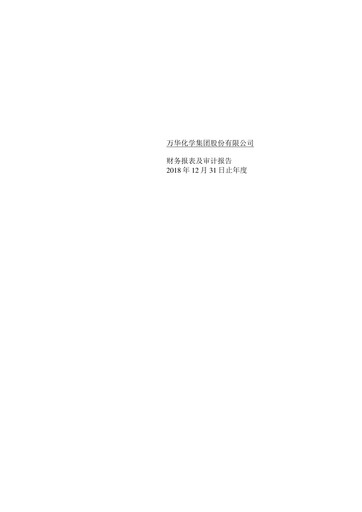 Thumbnail Wanhua Chemical Financial Statement 2018