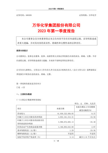 Thumbnail Wanhua Chemical Quarterly Report 2023-q1