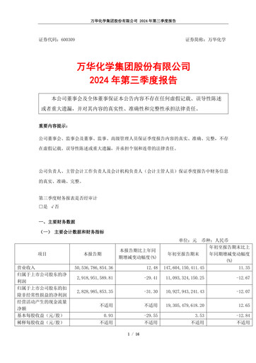 Thumbnail Wanhua Chemical Quarterly Report 2024-q3
