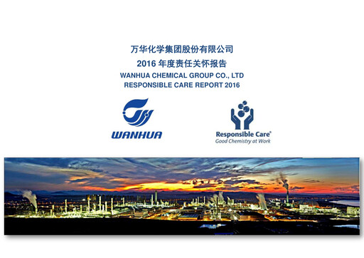 Thumbnail Wanhua Chemical Sustainability Report 2016