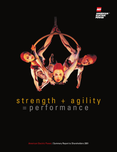 Thumbnail American Electric Power Annual Report 2001