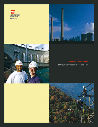 Thumbnail American Electric Power Annual Report 2002