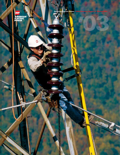 Thumbnail American Electric Power Annual Report 2003