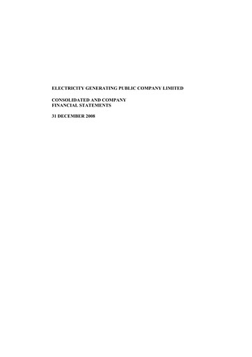 Thumbnail Electricity Generating Public Company Financial Statement 2008