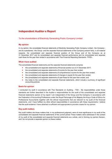 Thumbnail Electricity Generating Public Company Financial Statement 2017