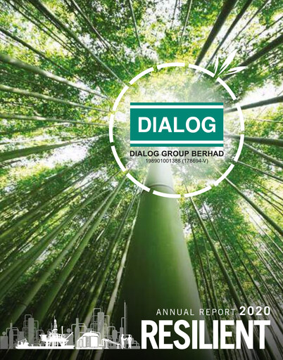 Thumbnail Dialog Group Annual Report 2020