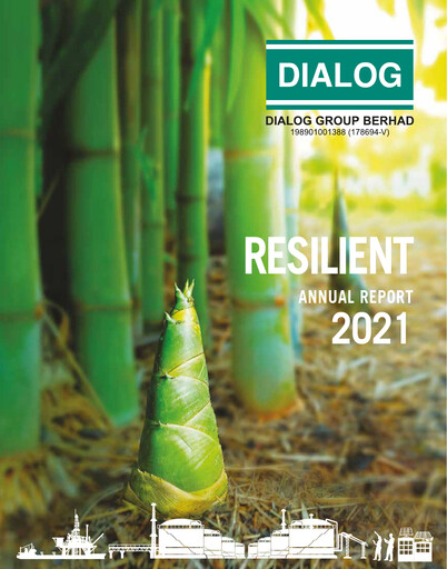 Thumbnail Dialog Group Annual Report 2021