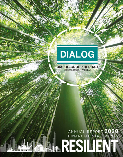 Thumbnail Dialog Group Financial Statement 2020