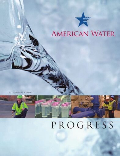 Thumbnail American Water Annual Report 2013