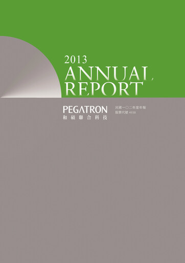 Miniature Pegatron Rapport annuel 2013