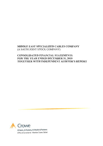 Thumbnail Middle East Specialized Cables Company Financial Statement 2019