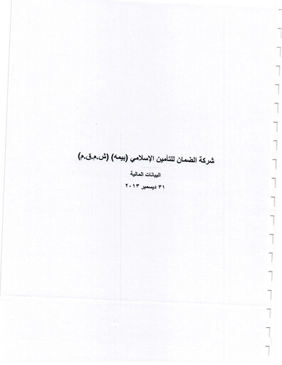 Thumbnail Damaan Islamic Insurance Company (Beema) Financial Statement 2012