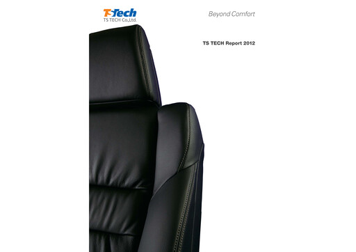 Thumbnail TS TECH Annual Report 2012