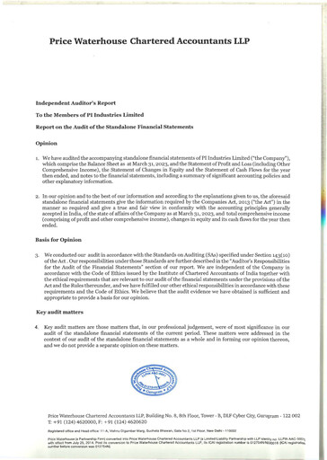 Thumbnail PI Industries Financial Statement 2023
