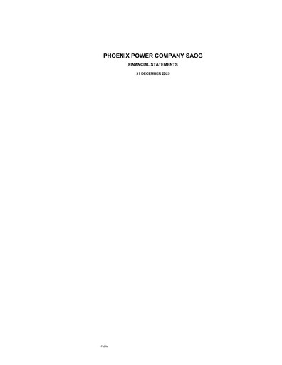 Miniature Phoenix Power Company Bilan financier 2025