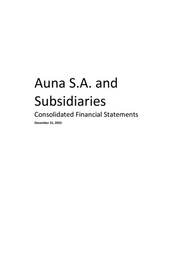 Thumbnail Auna SA Financial Statement 2025