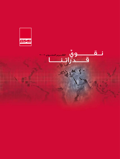 Vorschaubild BMMI Group Jahresbericht 2006