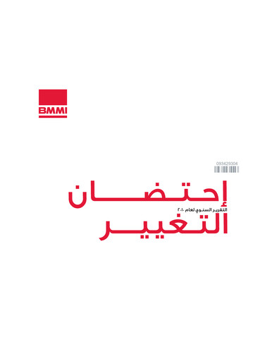 Miniature BMMI Group Rapport annuel 2010