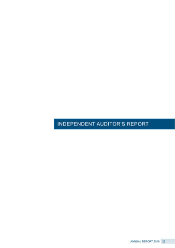 Vorschaubild Arab Insurance Group Finanzmitteilung 2019