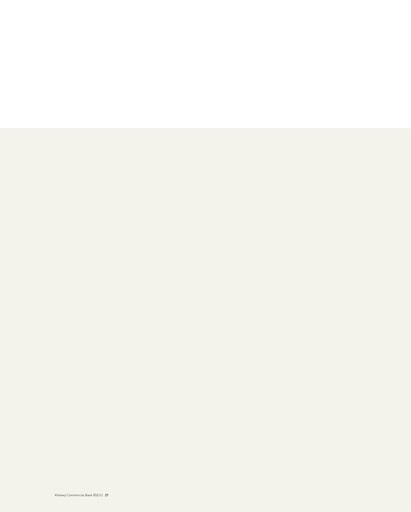 Vorschaubild Khaleeji Bank Finanzmitteilung 2006