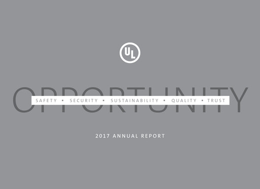 Miniature UL Solutions Rapport annuel 2017