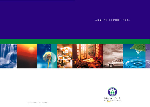Miniature Meezan Bank Rapport annuel 2003