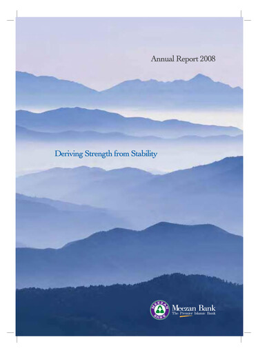 Miniature Meezan Bank Rapport annuel 2008