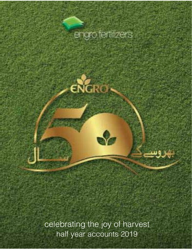 Miniature Engro Fertilizers Rapport semestriel 2019-h1