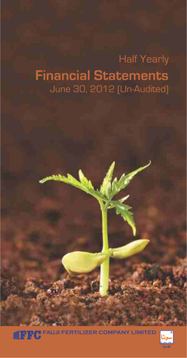 Thumbnail Fauji Fertilizer Company Financial Statement 2012-h1
