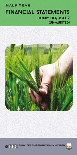 Thumbnail Fauji Fertilizer Company Financial Statement 2017-h1