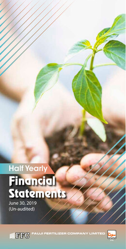 Thumbnail Fauji Fertilizer Company Financial Statement 2019-h1