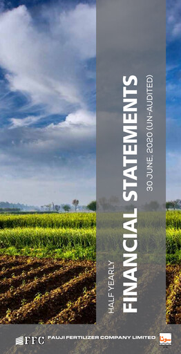 Thumbnail Fauji Fertilizer Company Financial Statement 2020-h1