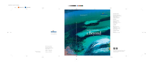 Thumbnail Engro Corporation Annual Report 2010