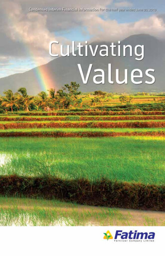 Thumbnail Fatima Fertilizer Financial Report 2013-h1