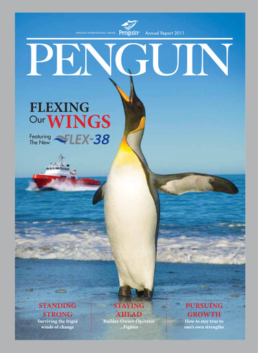 Thumbnail Penguin International Limited Annual Report 2011
