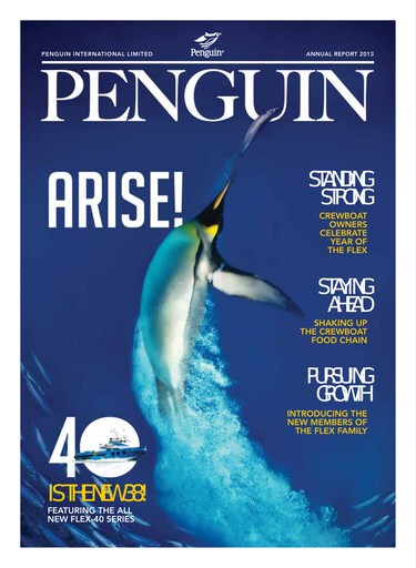 Thumbnail Penguin International Limited Annual Report 2013
