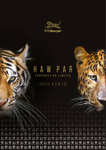 Thumbnail Haw Par Annual Report 2019