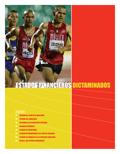 Thumbnail Banorte Financial Statement 2003