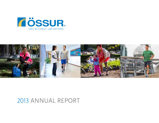 Thumbnail Embla Medical Annual Report 2013