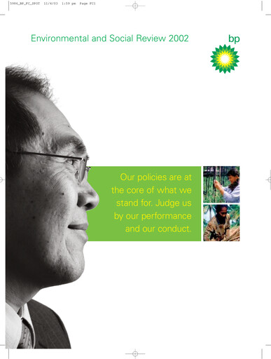 Thumbnail Castrol India Sustainability Report 2002