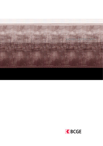 Vorschaubild Banque Cantonale de Genève Jahresbericht 2011